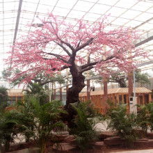 單縣宏旭園林景觀工程工作室 供應(yīng)產(chǎn)品