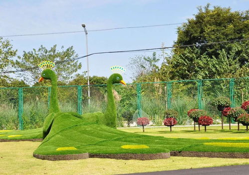 長(zhǎng)頸鹿仿真綠雕造型現(xiàn)貨批發(fā)價(jià) 成都仿真綠雕專業(yè)定制廠家