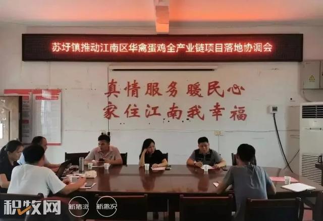廣西蛋雞養(yǎng)殖產(chǎn)業(yè)再添巨擘 可存欄200萬余羽項(xiàng)目開工，推動農(nóng)副產(chǎn)品銷售新格局