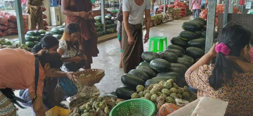 緬甸糧食安全拉響警報(bào) 基礎(chǔ)食品價(jià)格飆升，初級(jí)農(nóng)產(chǎn)品收購(gòu)體系面臨挑戰(zhàn)